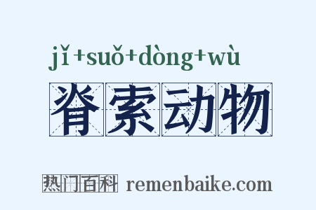 脊索动物是什么意思的图片